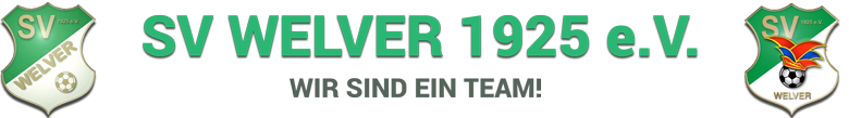logowelver